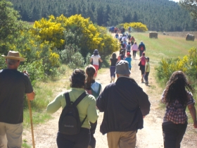 Caminhadas na Petisqueira - União de freguesias